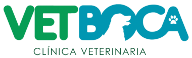 VetBoca
